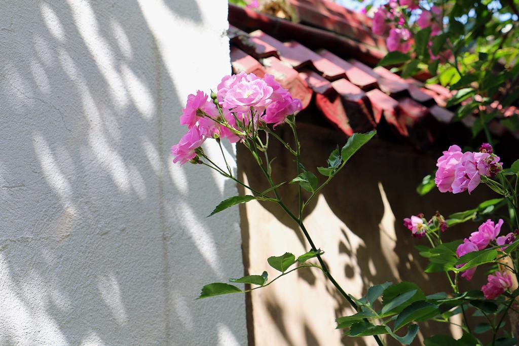 The Hump-Mulan Guest House Kunming Zewnętrze zdjęcie